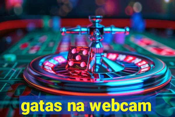 gatas na webcam